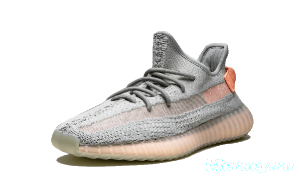 Adidas YEEZY Yeezy Boost 350 V2 Shoes True Form - EG7492 Sneaker MEN