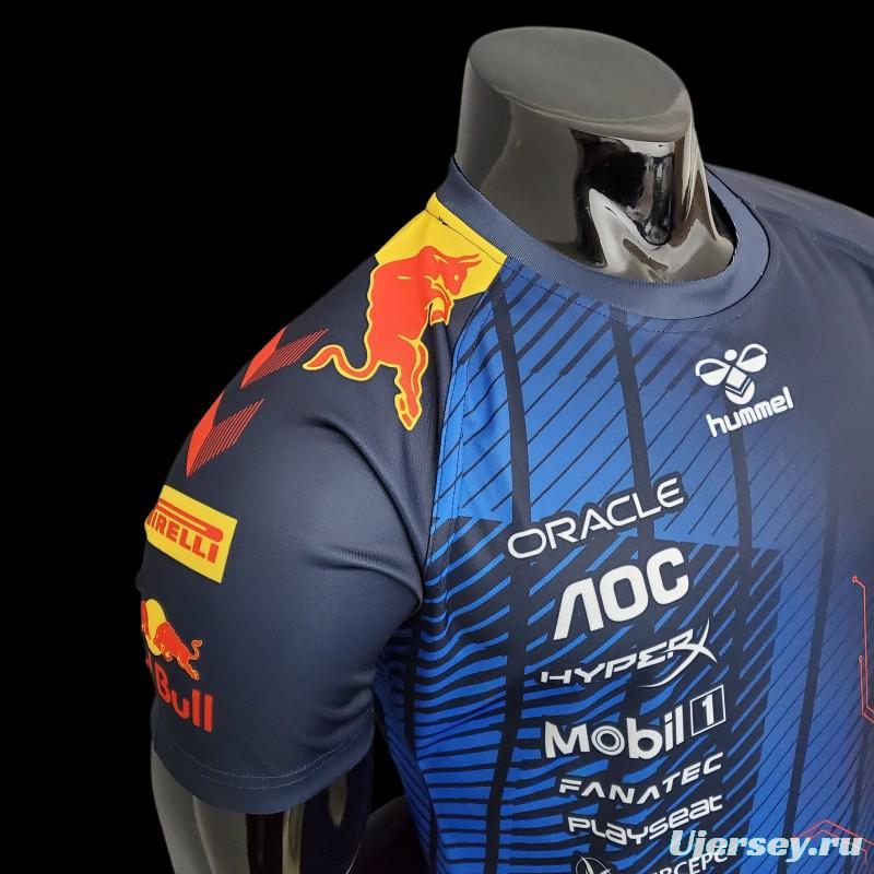 F1 Red Bull Gaming Edition 