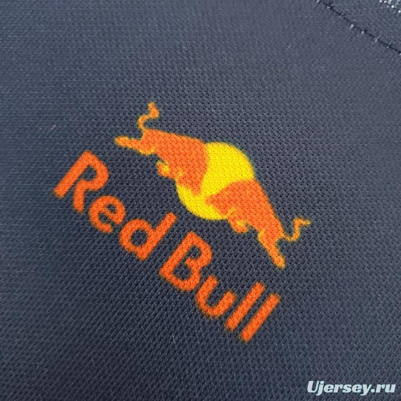 2022 F1 Formula: Red Bull 