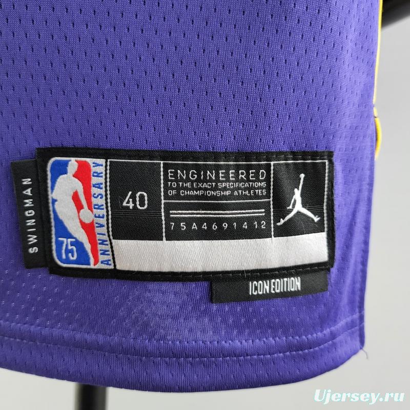 75th Anniversary TOSCANO #95 Los Angeles Lakers Jordan Purple NBA Jersey