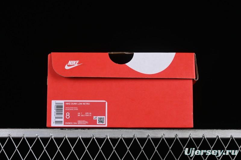 Nike Dunk Low Winter is Here Minimalist White Blue SB Lace-Up Low-Top Casual Skate Shoes - DV0831-104