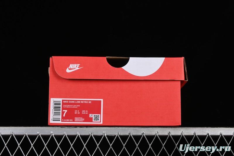 Nike Dunk Low SB Casual Sneakers in Light Grey/Khaki - FJ4188-001