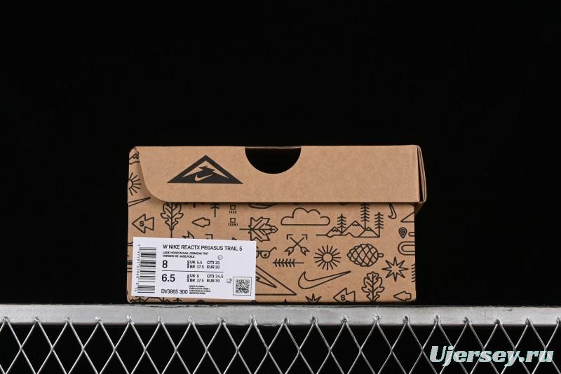 Nike Pegasus Trail 5 Off-Road Series Lightweight Comfortable Durable Low-Top Running Shoes - DV3865-300