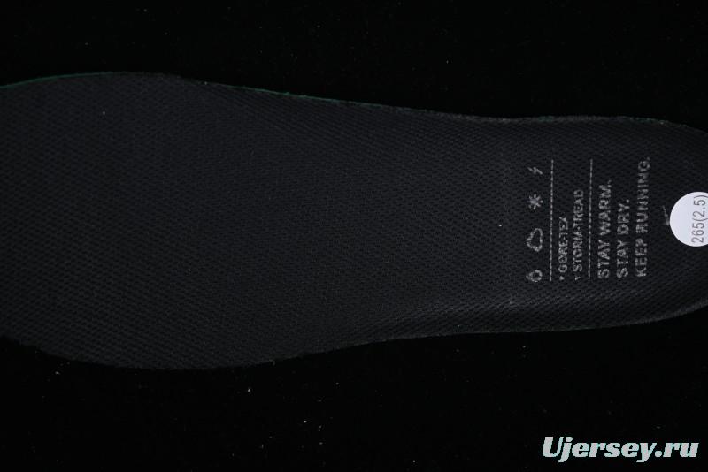 Nike Air Zoom Pegasus 41 GTX Running Shoes with Mesh Breathability and Durable Design - FQ1356-001