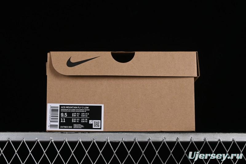 Nike ACG Mountain Fly 2 Low GTX SE Outdoor Hiking Shoes - DV7903-300