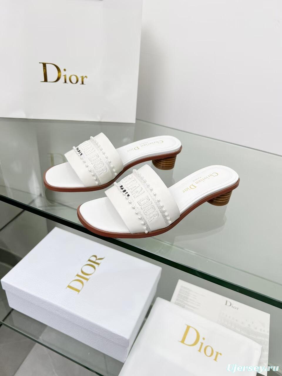 2025 Women Dior White Leather Mules Embroidered LY00210