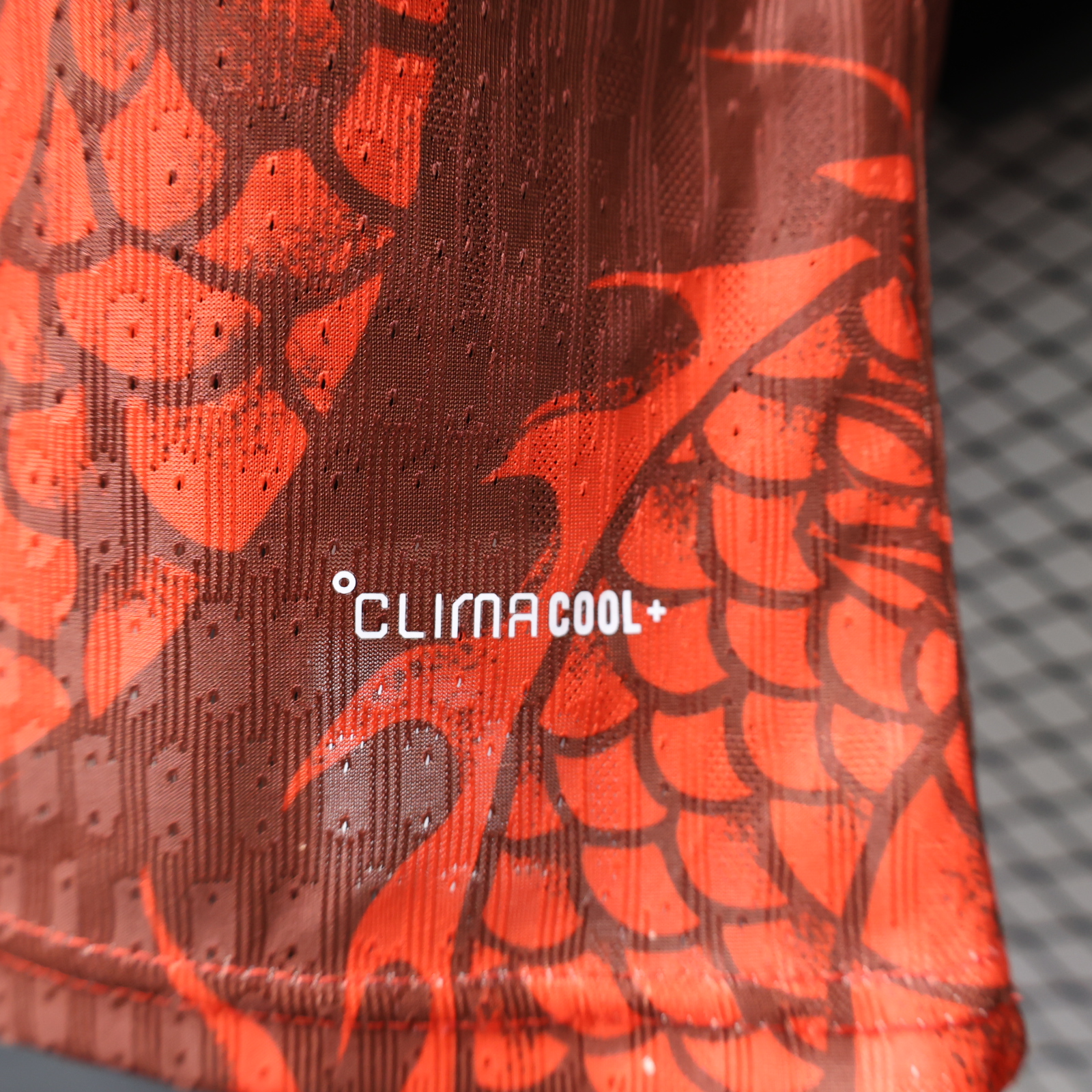Player Version 26/27 Internacional Special Edition Dragon Jersey